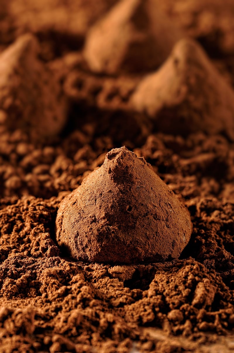 chocolate and red wine